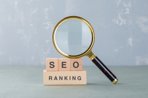 The Best And Leading SEO Company In India